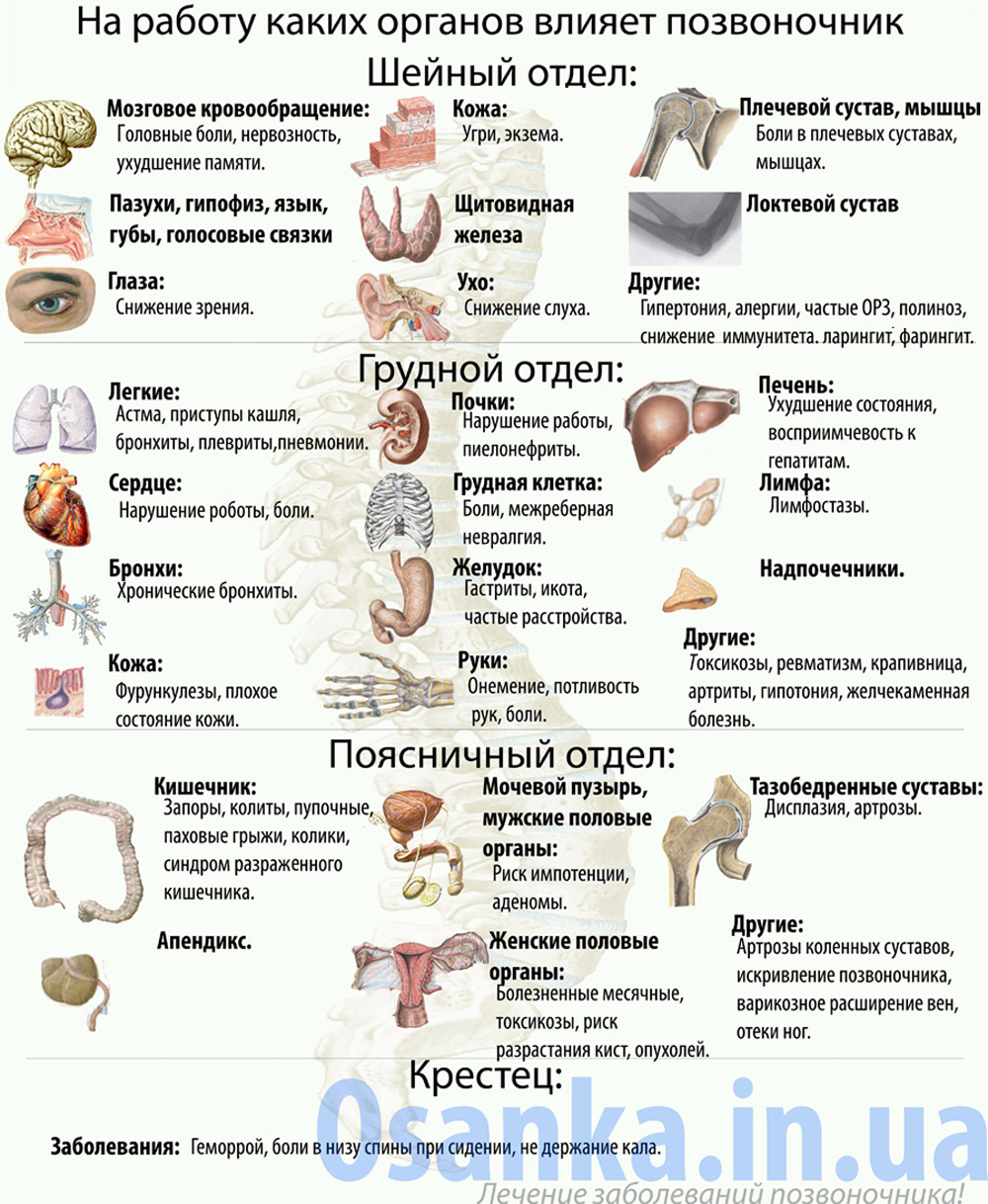 Стоимость услуг